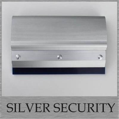 Silver Security