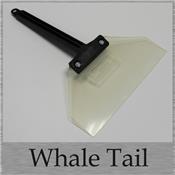 Whale Tail
